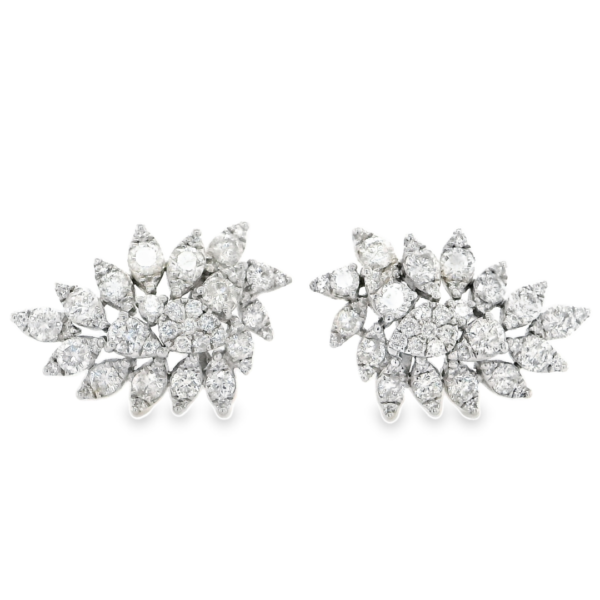 Elegant Diamond Earrings