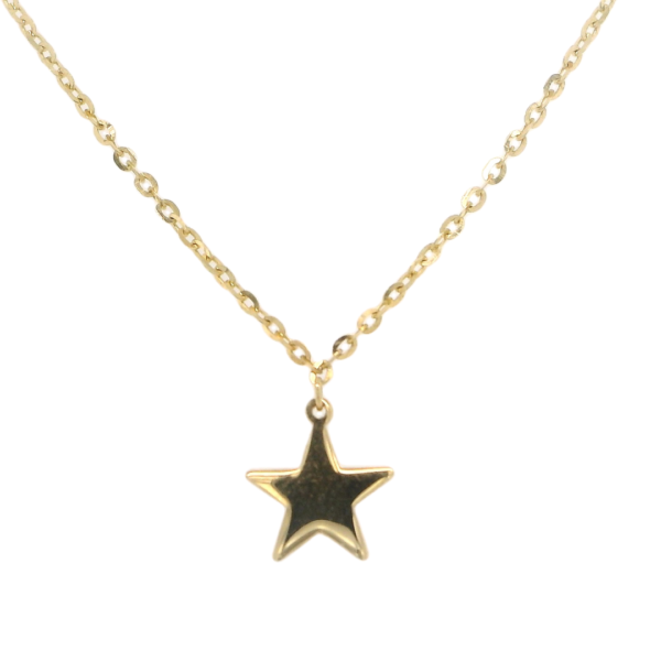 Star Pendant Necklace