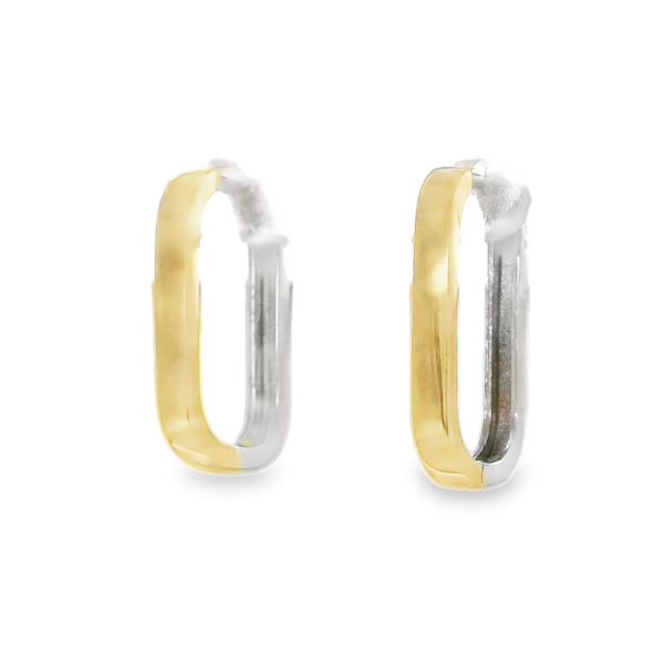 Two-Tone Hoop Earrings